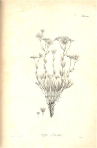 n121_w1150
