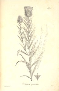 n106_w1150