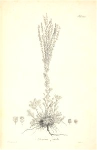 n91_w1150