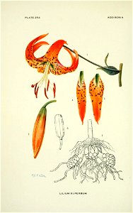 n129_w1150