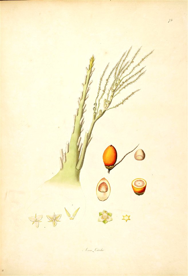 n115_w1150