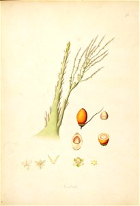 n115_w1150