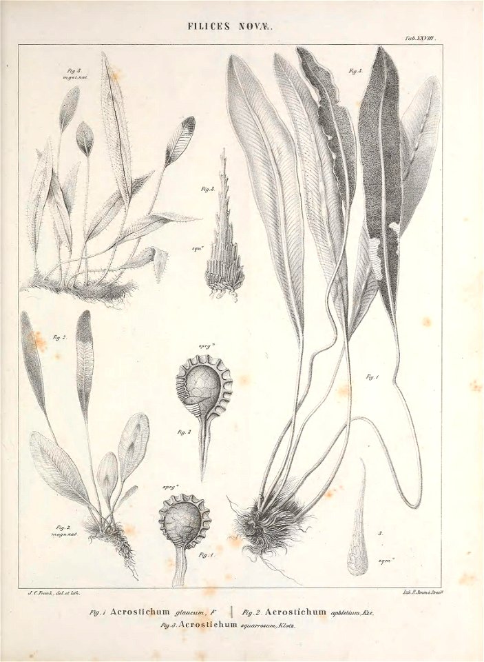 n112_w1150
