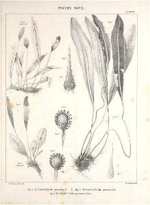 n112_w1150
