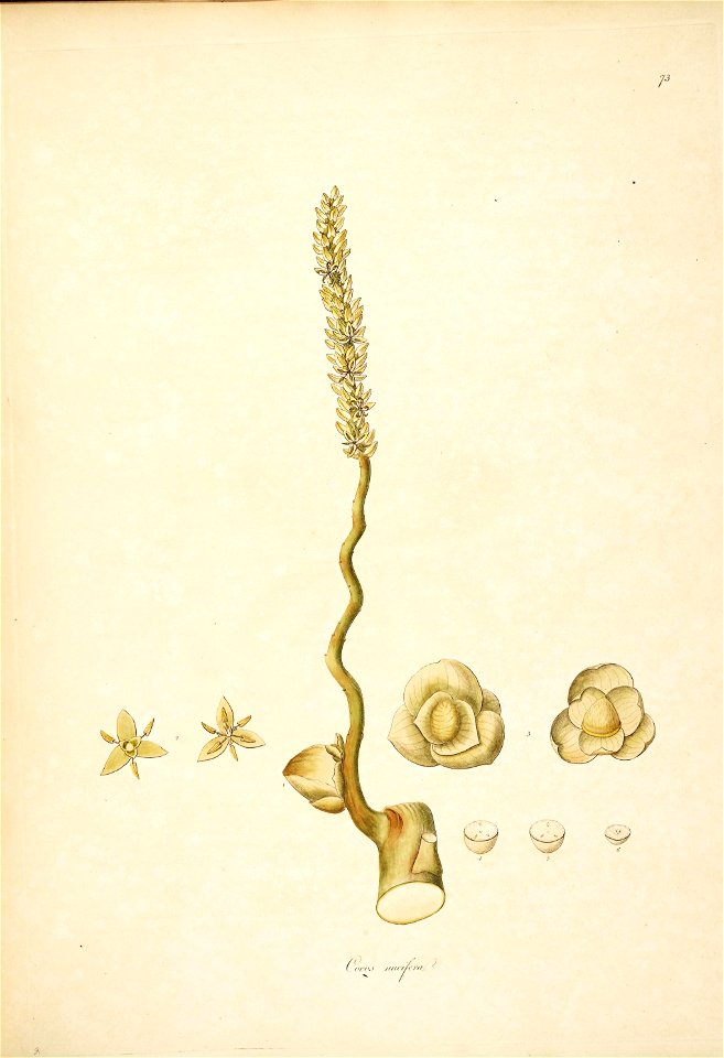 n113_w1150