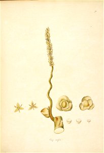 n113_w1150