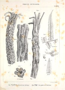 n378_w1150