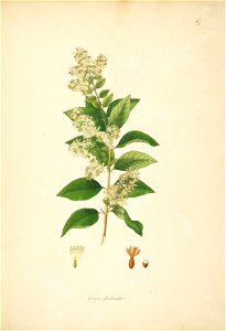 n127_w1150