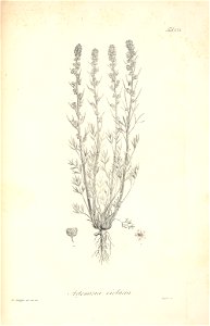 n104_w1150
