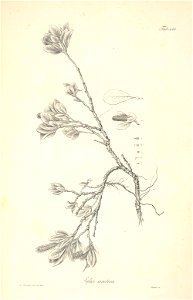 n89_w1150