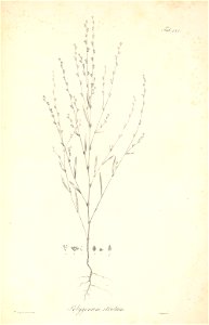 n73_w1150