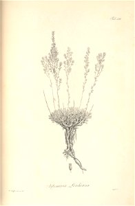 n117_w1150