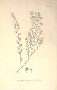 n57_w1150