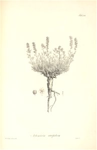 n101_w1150