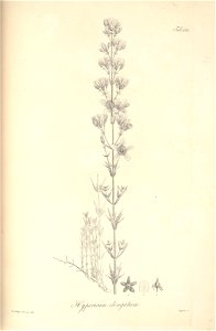 n115_w1150