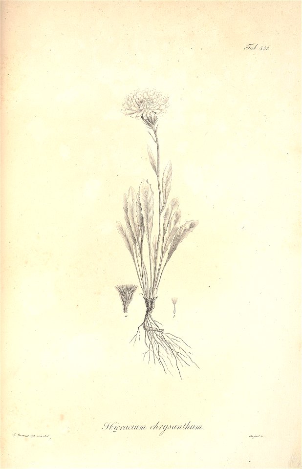 n85_w1150