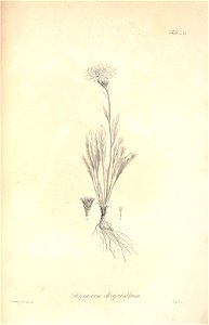 n85_w1150