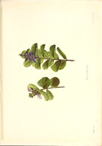 n122_w1150