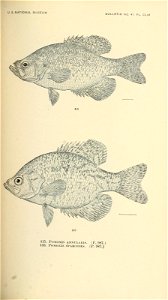 n592_w1150