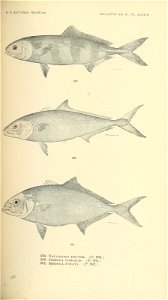 n562_w1150