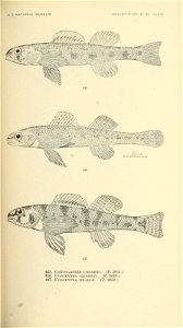 n622_w1150