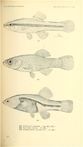 n502_w1150