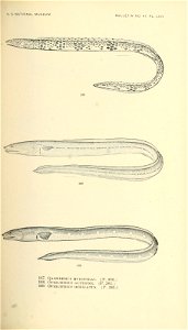 n412_w1150