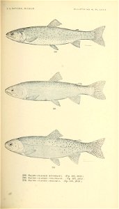 n442_w1150