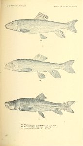 n352_w1150