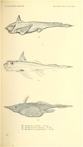 n322_w1150