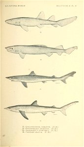 n292_w1150