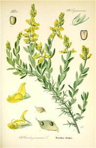 n508_w1150