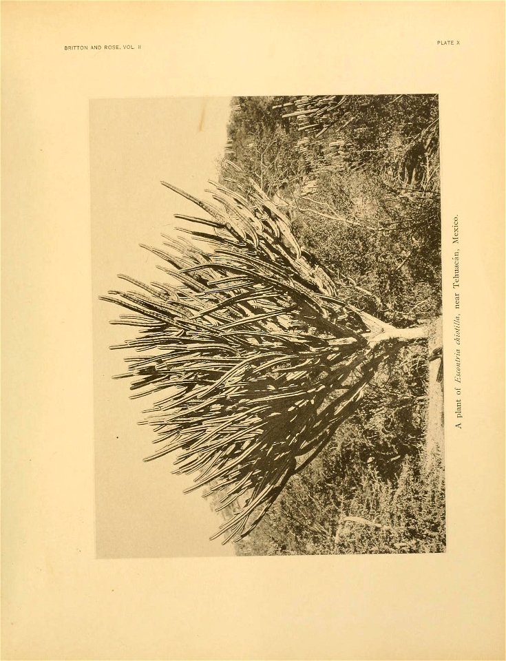 n100_w1150