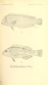 n768_w1150