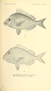 n708_w1150
