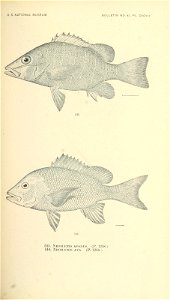 n678_w1150