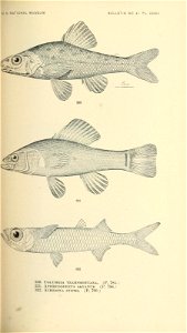 n528_w1150