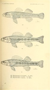 n618_w1150