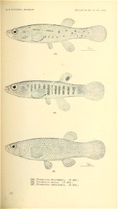 n498_w1150
