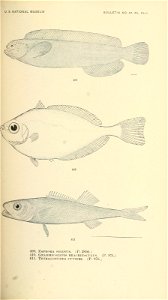 n588_w1150