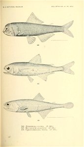n468_w1150