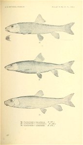 n348_w1150
