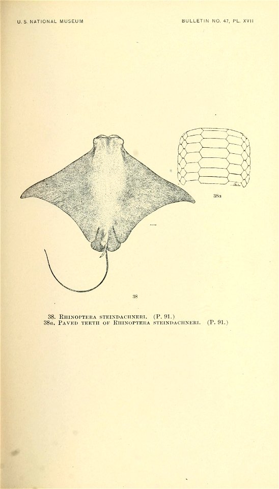 n318_w1150