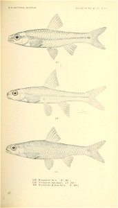 n378_w1150