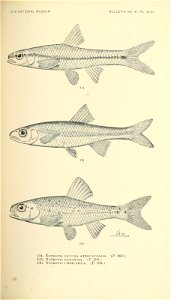 n376_w1150