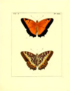 n134_w1150