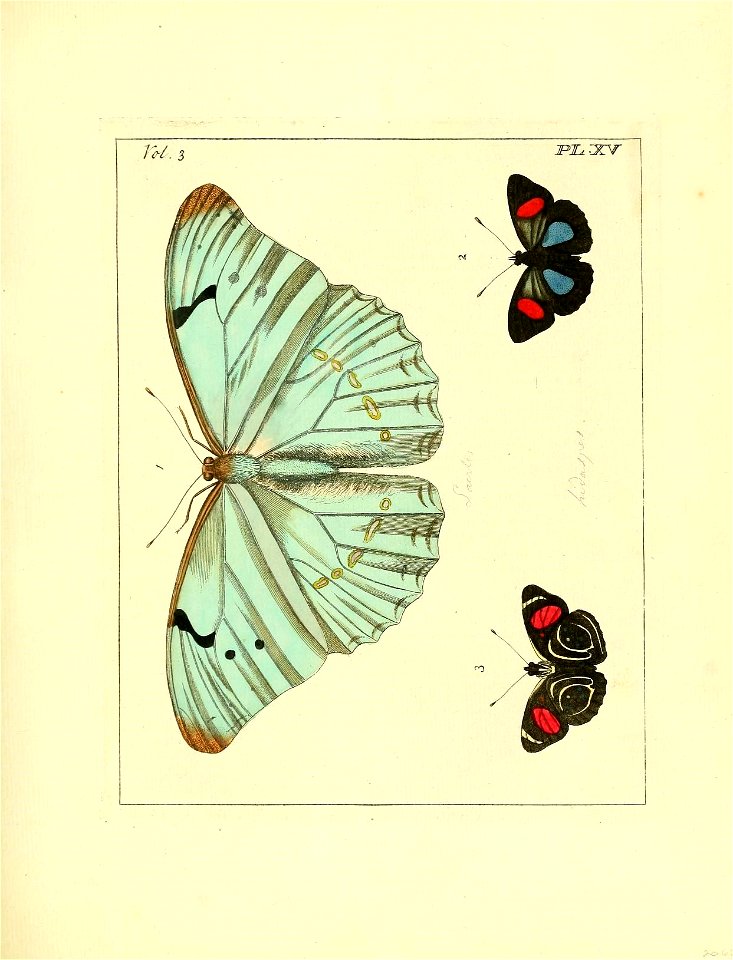n82_w1150