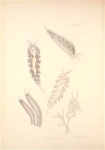 n381_w1150