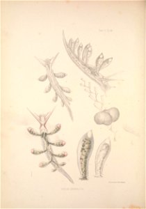 n431_w1150