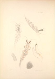 n365_w1150